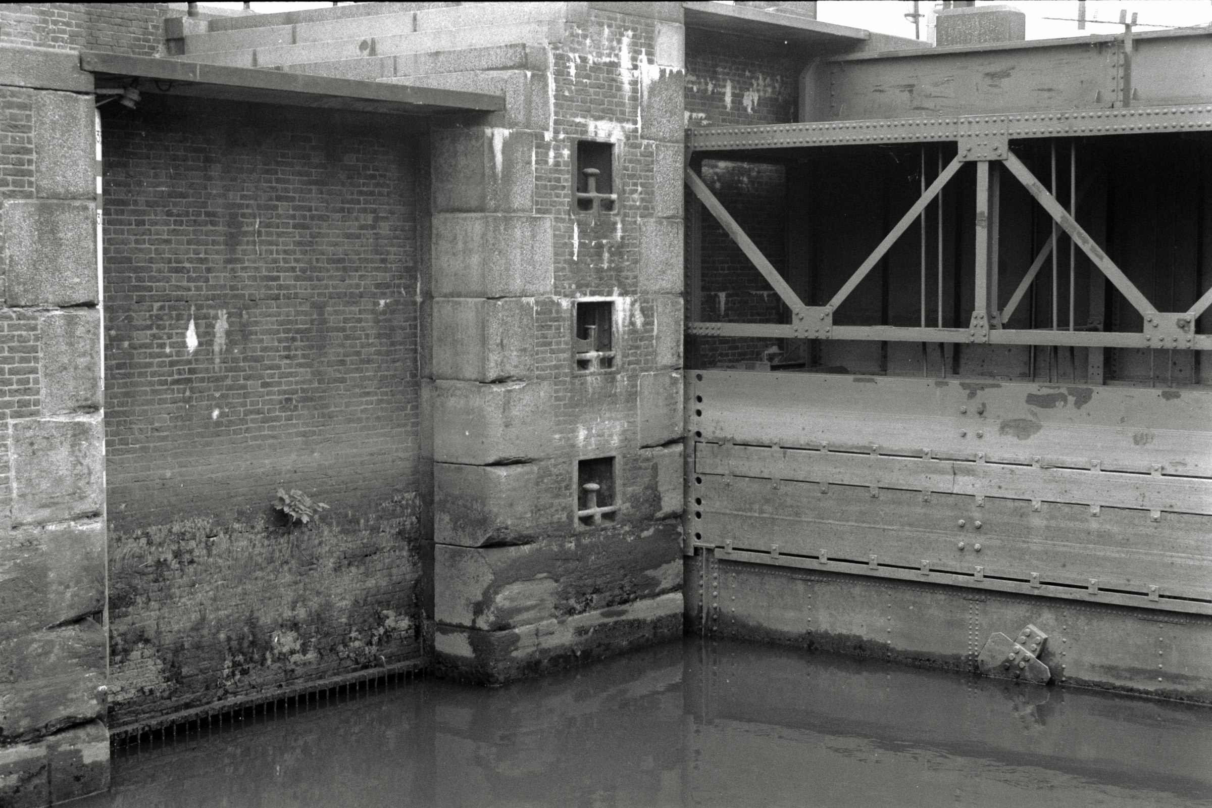 AHP F1992 06 001 sc250507 img22 NLP